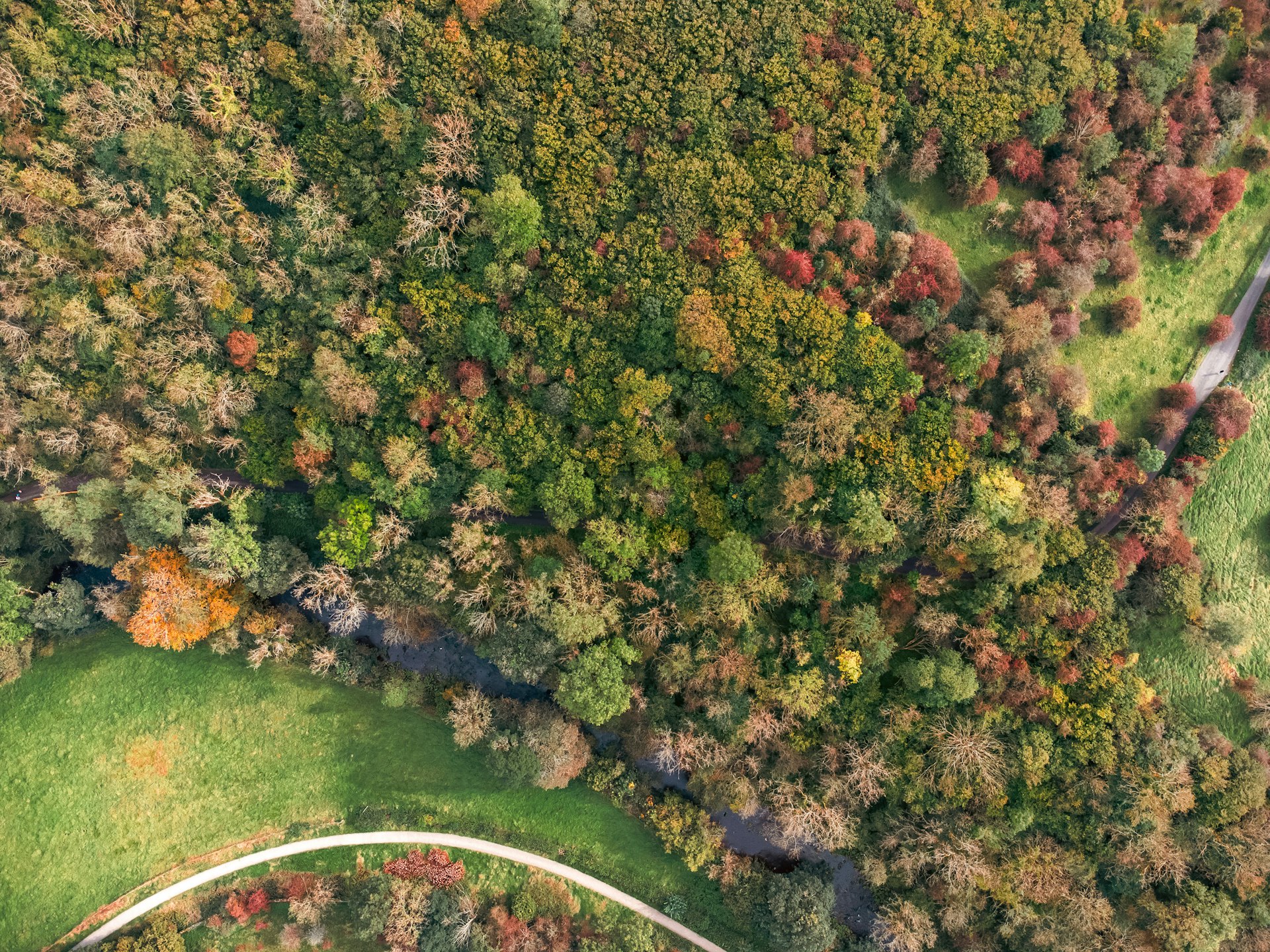 Raw Land Brokerage an aerial view of a road in a wooded area